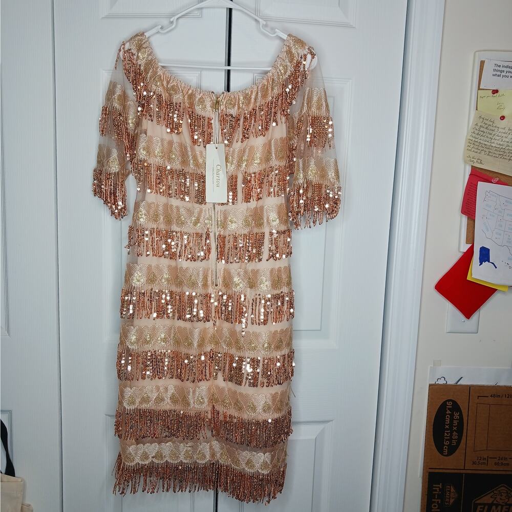Chartou Off The Shoulder Fringed Sequin Party Style Dress NWT - Picture 4 of 11